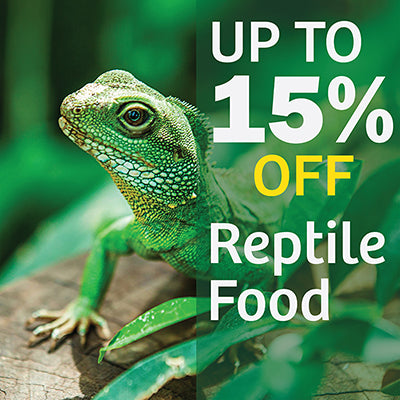 Reptile Food