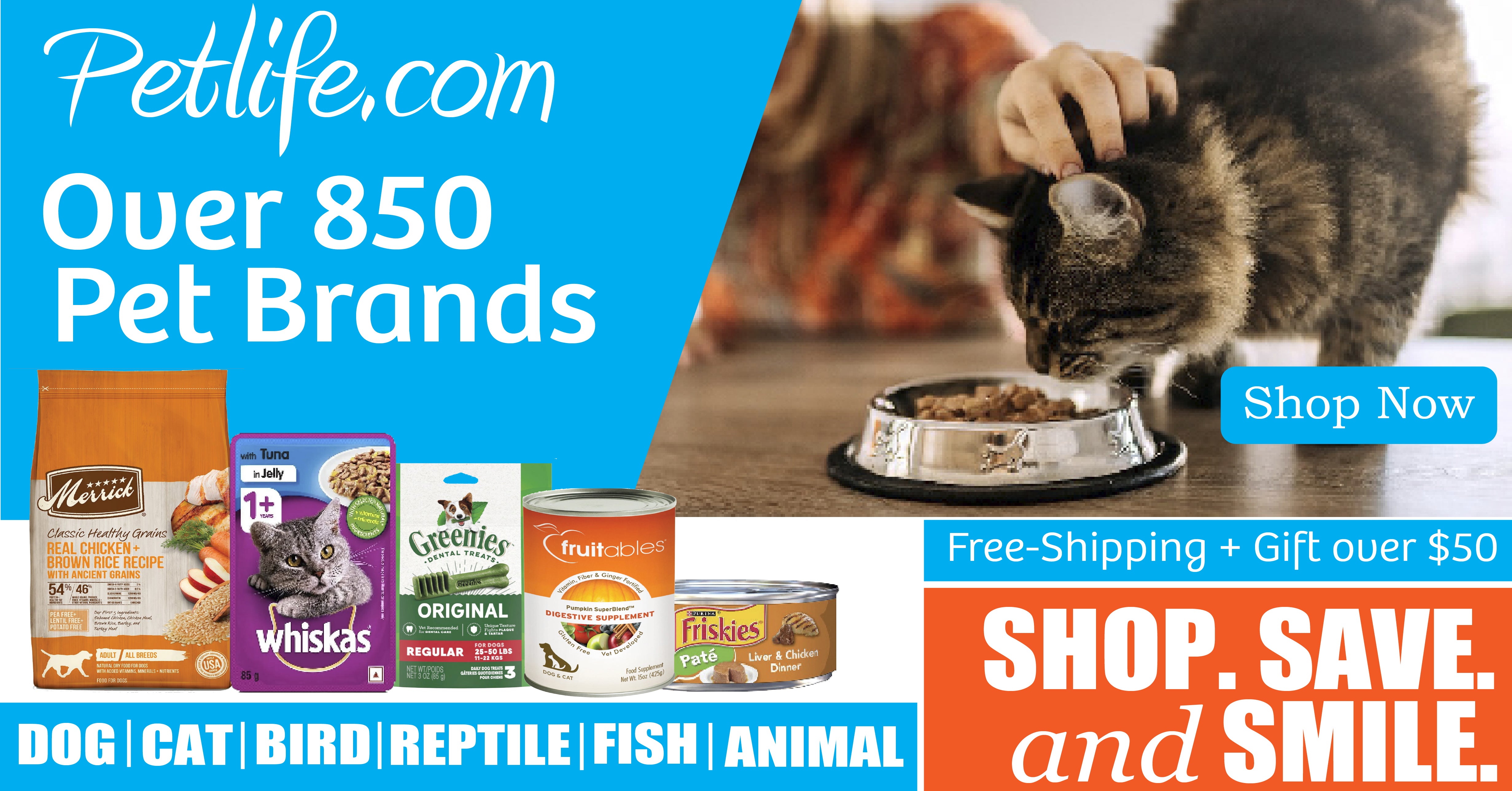 Photo: shop.petlife.com Best Cat Ball Toys & Feather Footballs | Pet Life