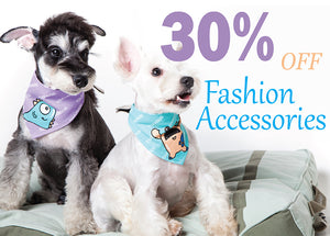 Dog Clothes and Accessories