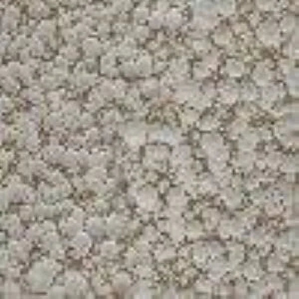 A&E Cage Company Elegant Style Flight Bird Cage with Stand - Platinum - 32 X 21 X 61 In