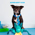 Bark Box Dingbert the Dragon Plush and Squeaky Dog Toy  