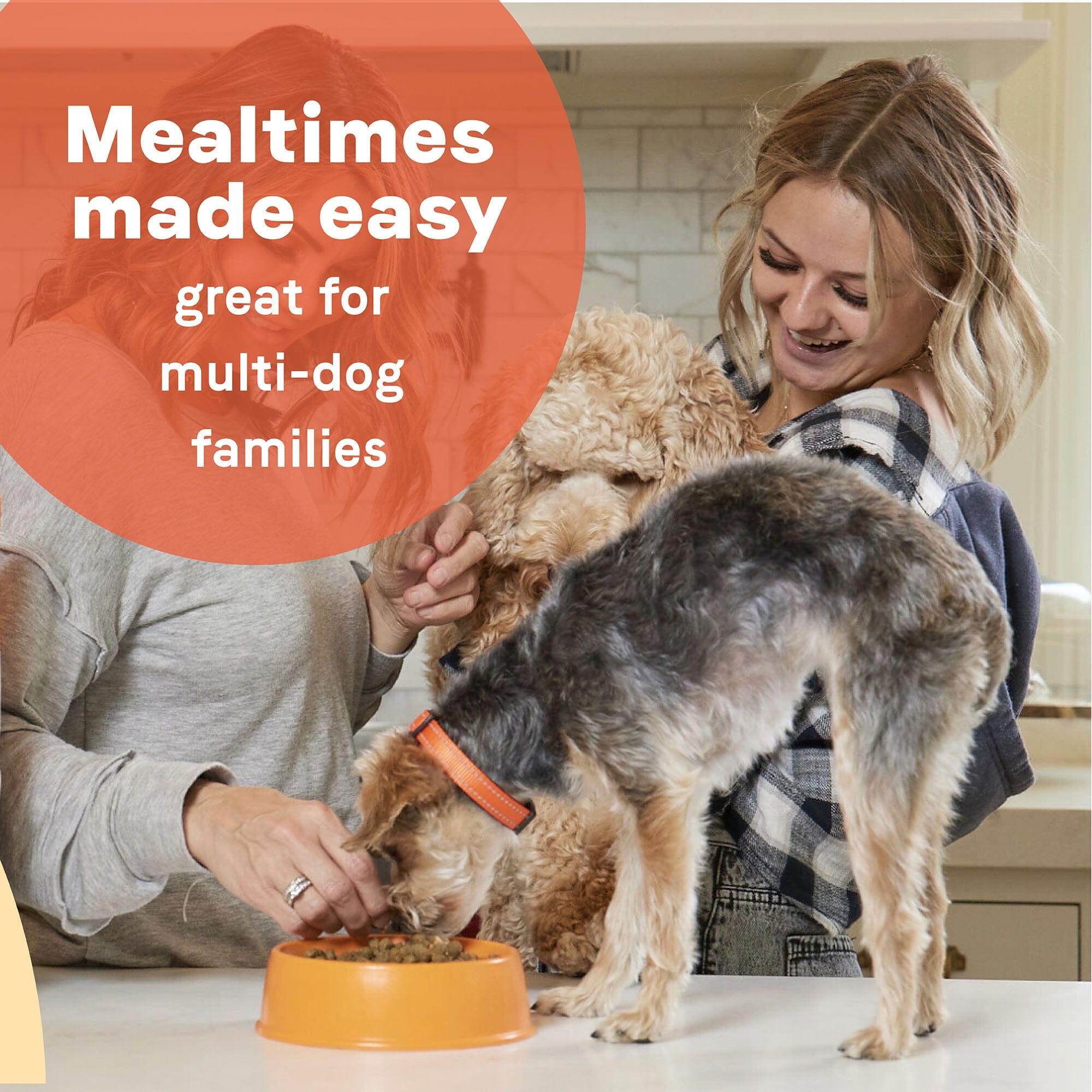 Canidae All Life Stages Premium Dry Dog Food - Real Lamb & Ancient Grains - 5 Lbs