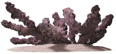 CaribSea LifeRock - Belize Branch - 20 lb