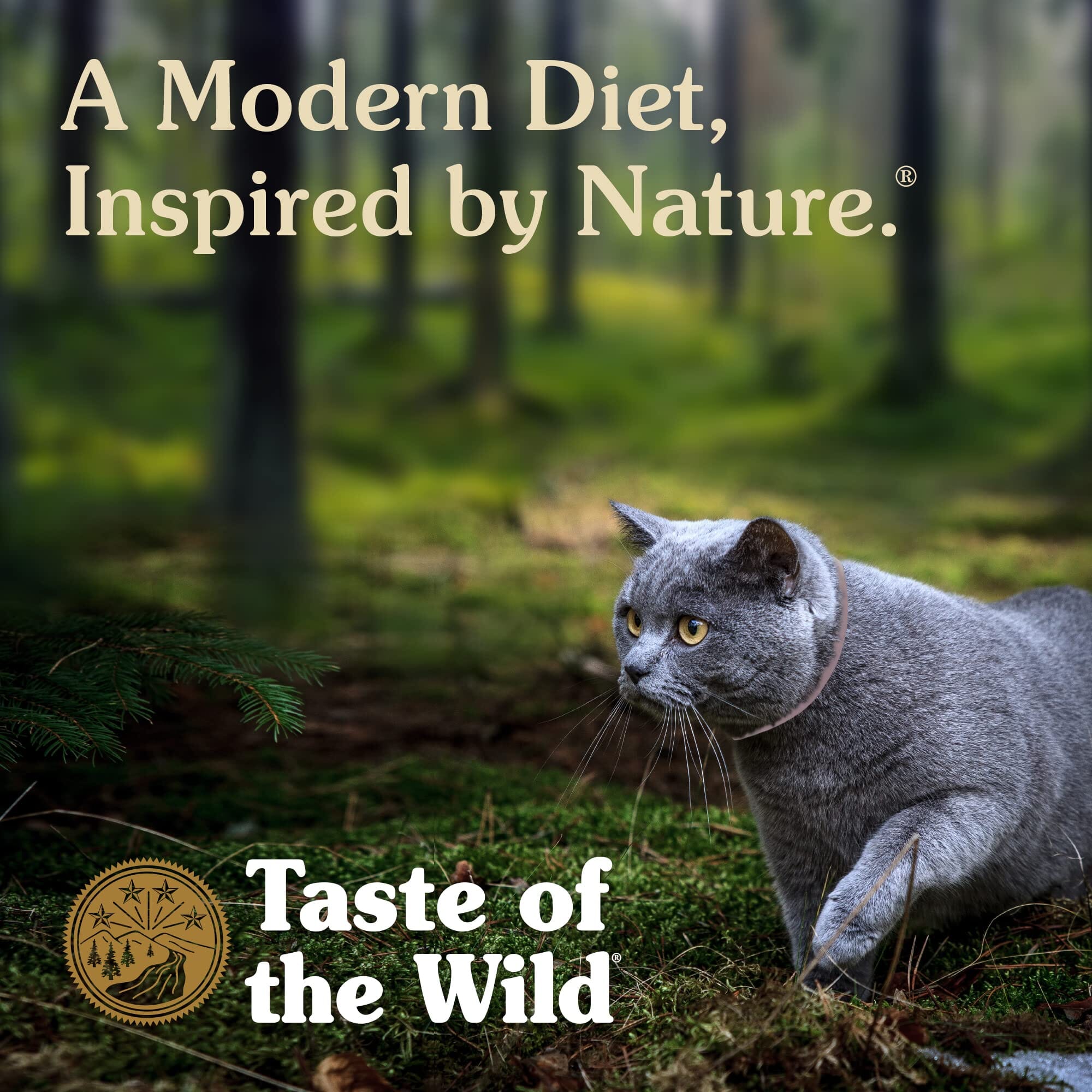 Diamond Pet Foods Taste of the Wild Grain-Free Canyon River Trout and Salmon Dry Cat Food