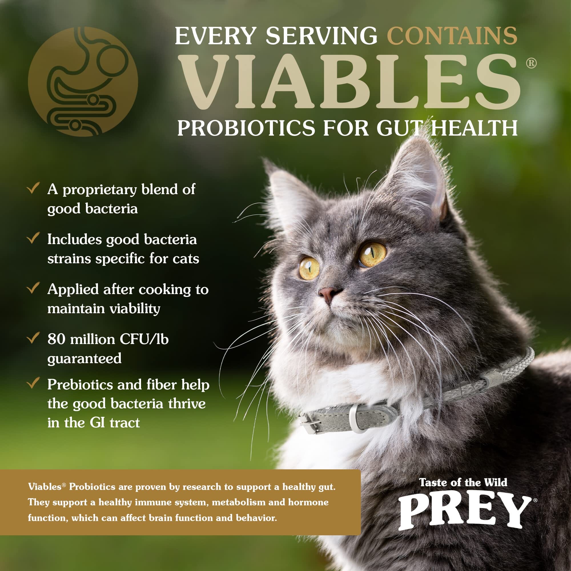 Diamond Pet Foods Taste of the Wild Prey High-Protein Limited Ingredient Diet Angus Beef Dry Cat Food