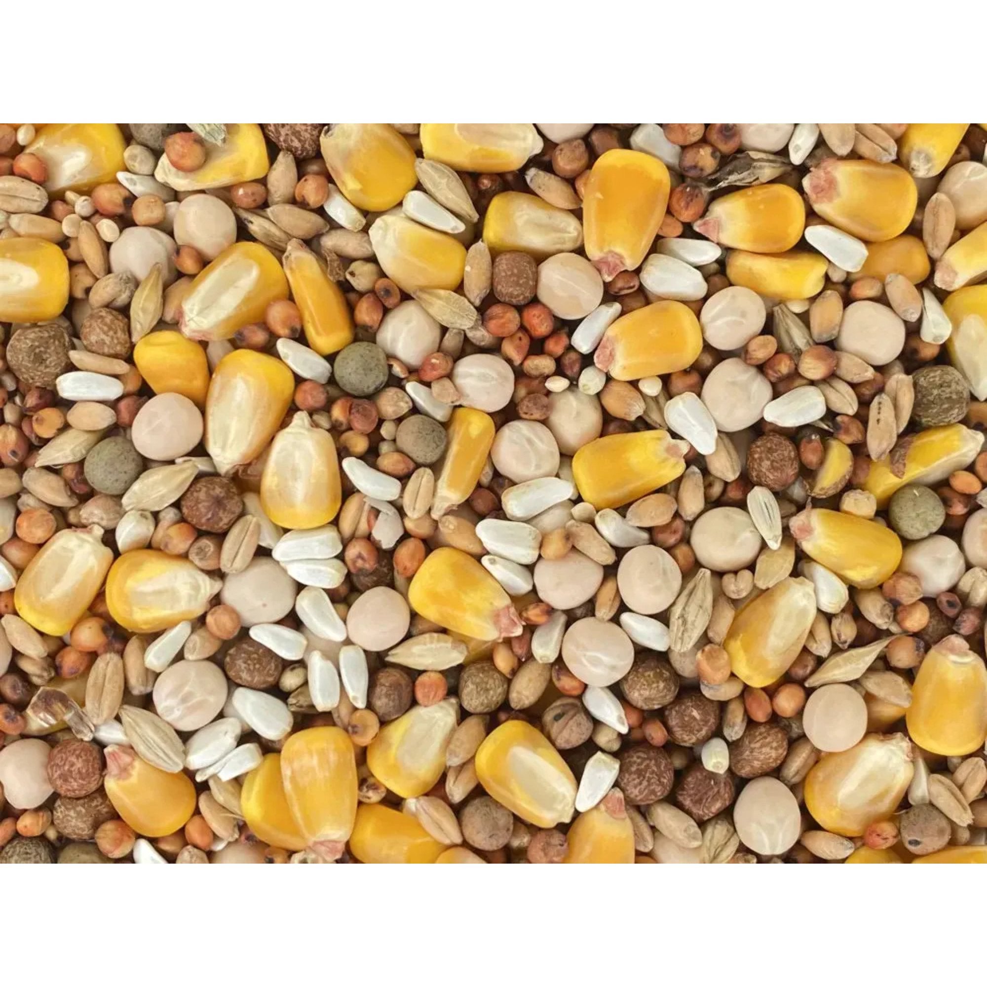 Versele-Laga Classic Pigeon Blend with 15 Percent Corn Wild Bird Food - 50 Lbs