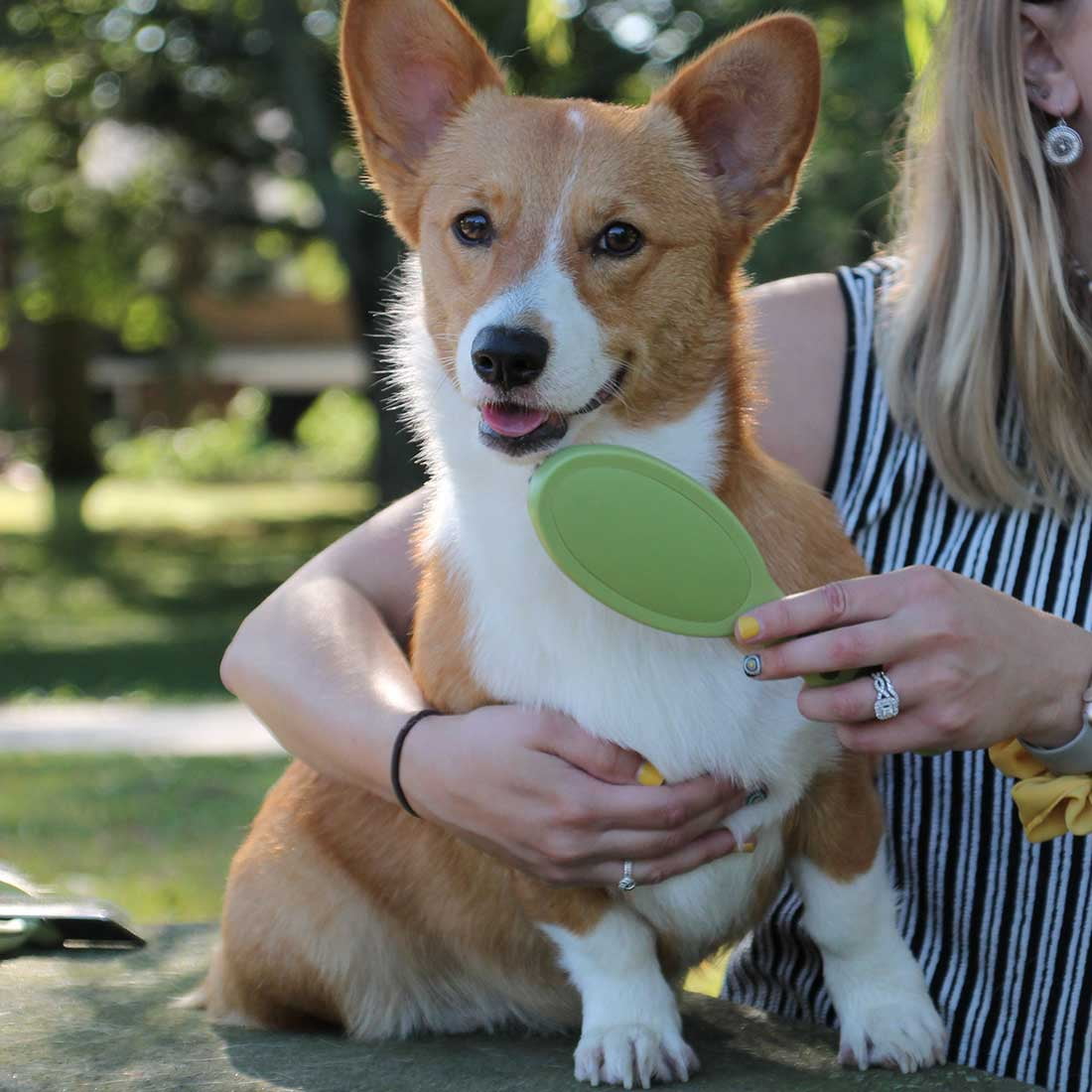 Coastal Safari Dog Bristle Brush
