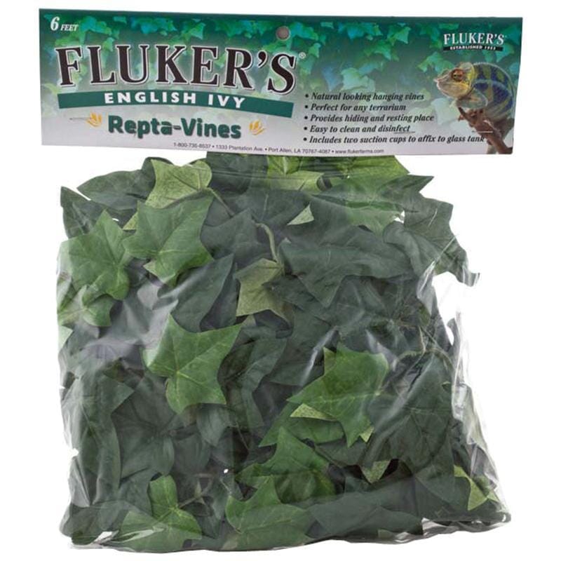 Fluker's Repta-Vines - English Ivy - 6"