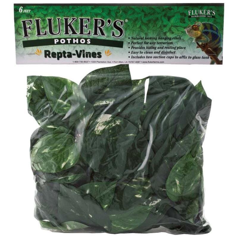 Fluker's Repta-Vines - Pothos - 6"
