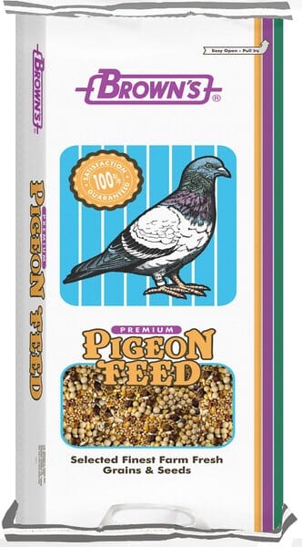 F.M. Brown's Pigeon Breeder Popcorn Bird Food - 50 lb Bag