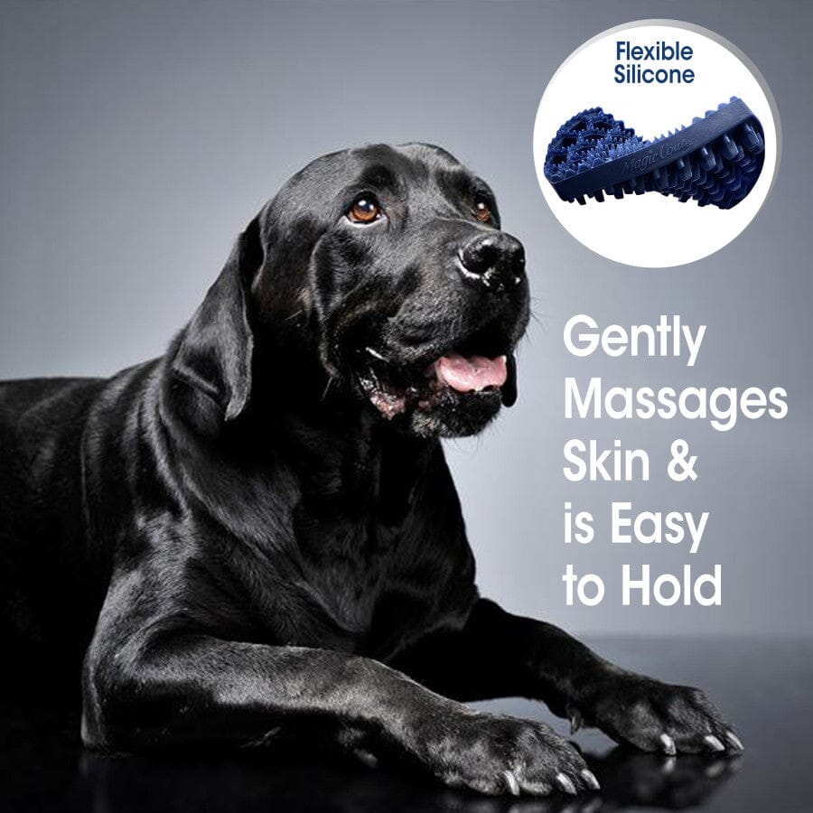 Four Paws Magic Coat Curry Brush for Dogs - One Size