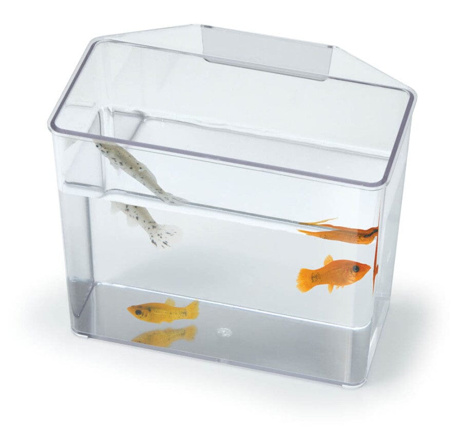 Lee's Break Resistant Specimen Container - Large