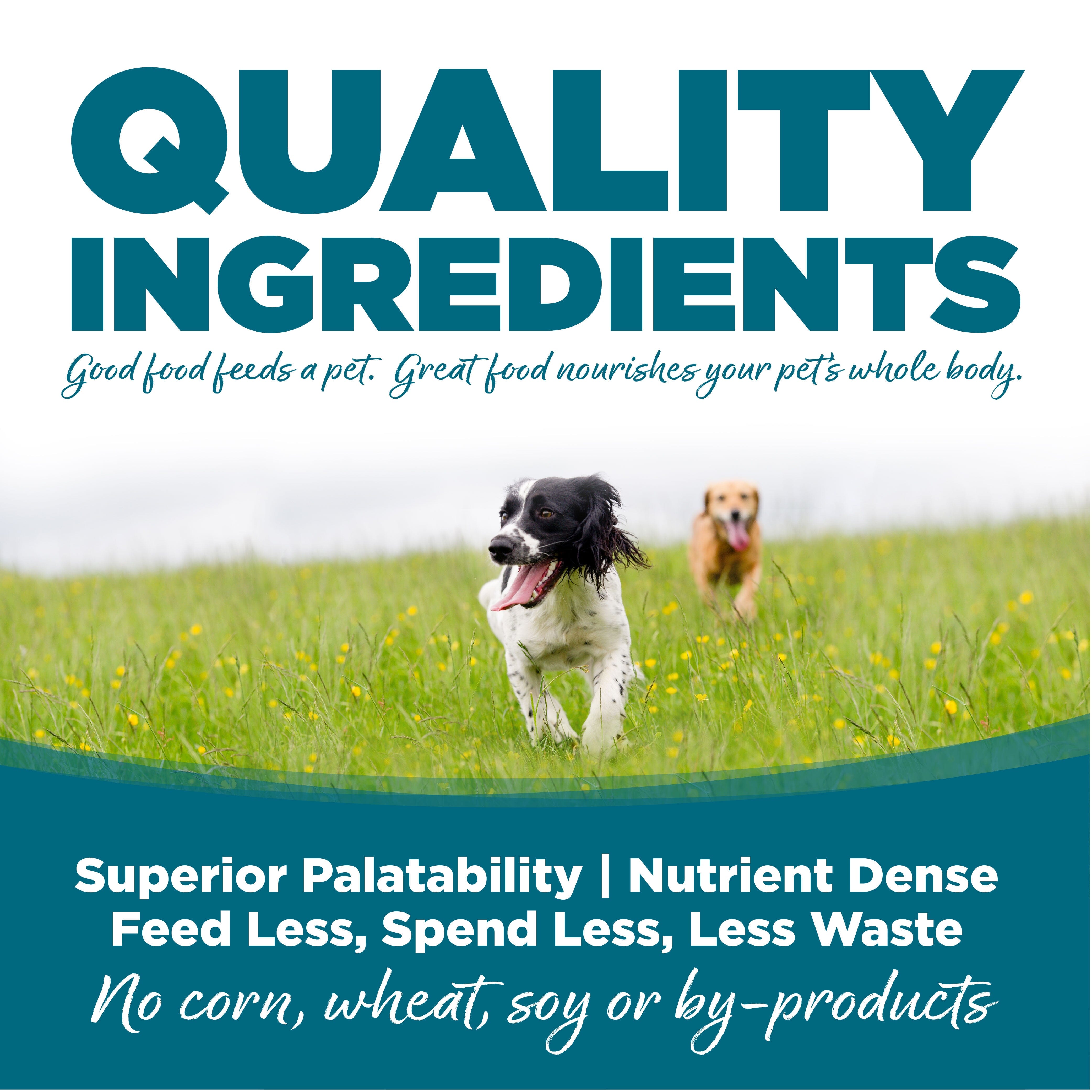 Nutrisource Chicken & Rice Dog Canned Canned Dog Food - 13 oz - Case of 12
