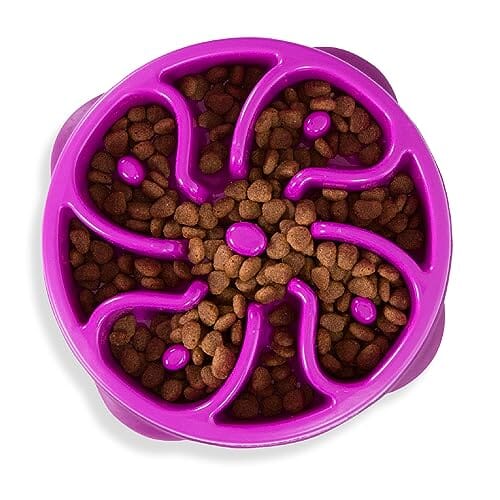 Outward Hound Anti-Skid Fun Feeder Slow Feeding Dog Bowl - Purple Flower - Medium