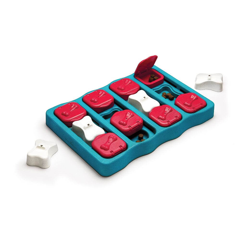 Outward Hound Nina Ottosson Interactive Treat Rewarding Brick Puzzle Feeding Dog Toy - Blue