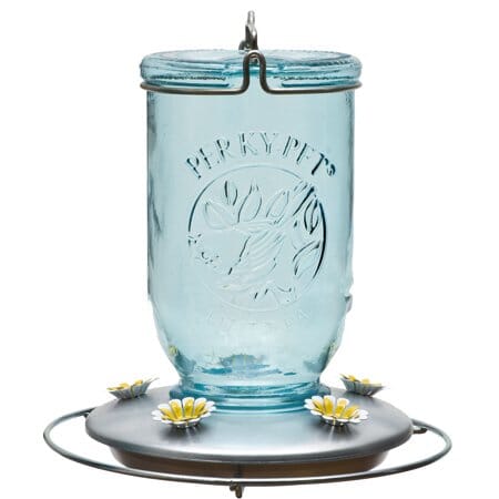 Perky-Pet Mason Jar Glass Hummingbird Feeder - Blue - 32 Oz Cap