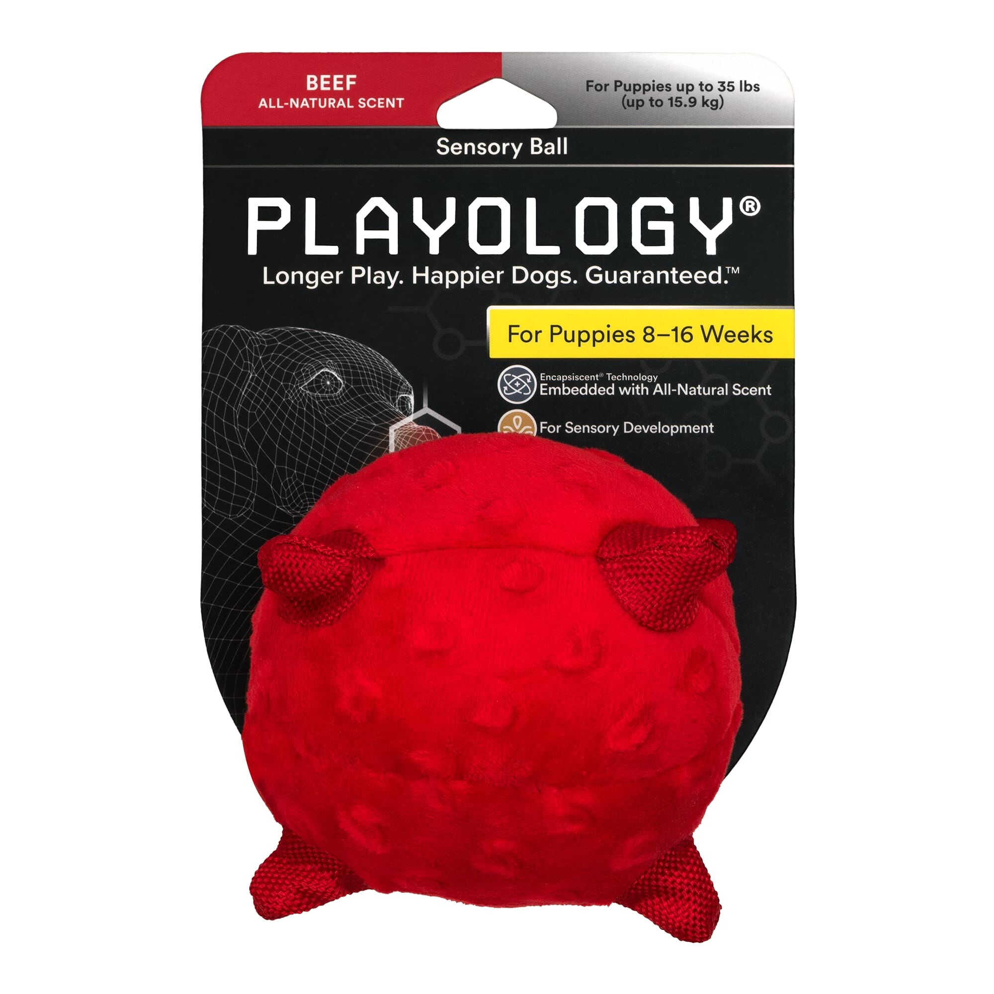 Playology Beef Scented Sensory Ball Squeak and Plush Puppy Dog Toy with Encapsiscent Technology - Small