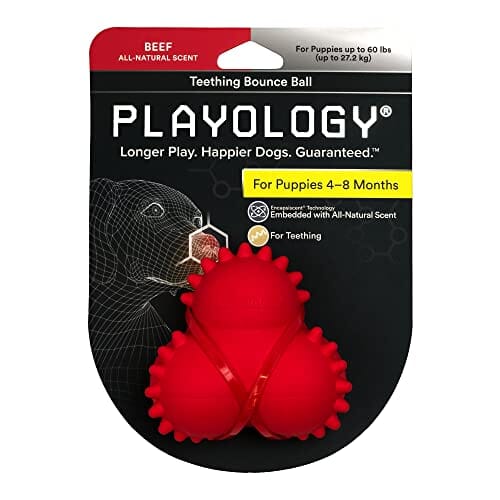 Playology Beef Scented Squeaky Chew Ball Floating Rubber Dog Toy with Encapsiscent Tech - Medium/Large