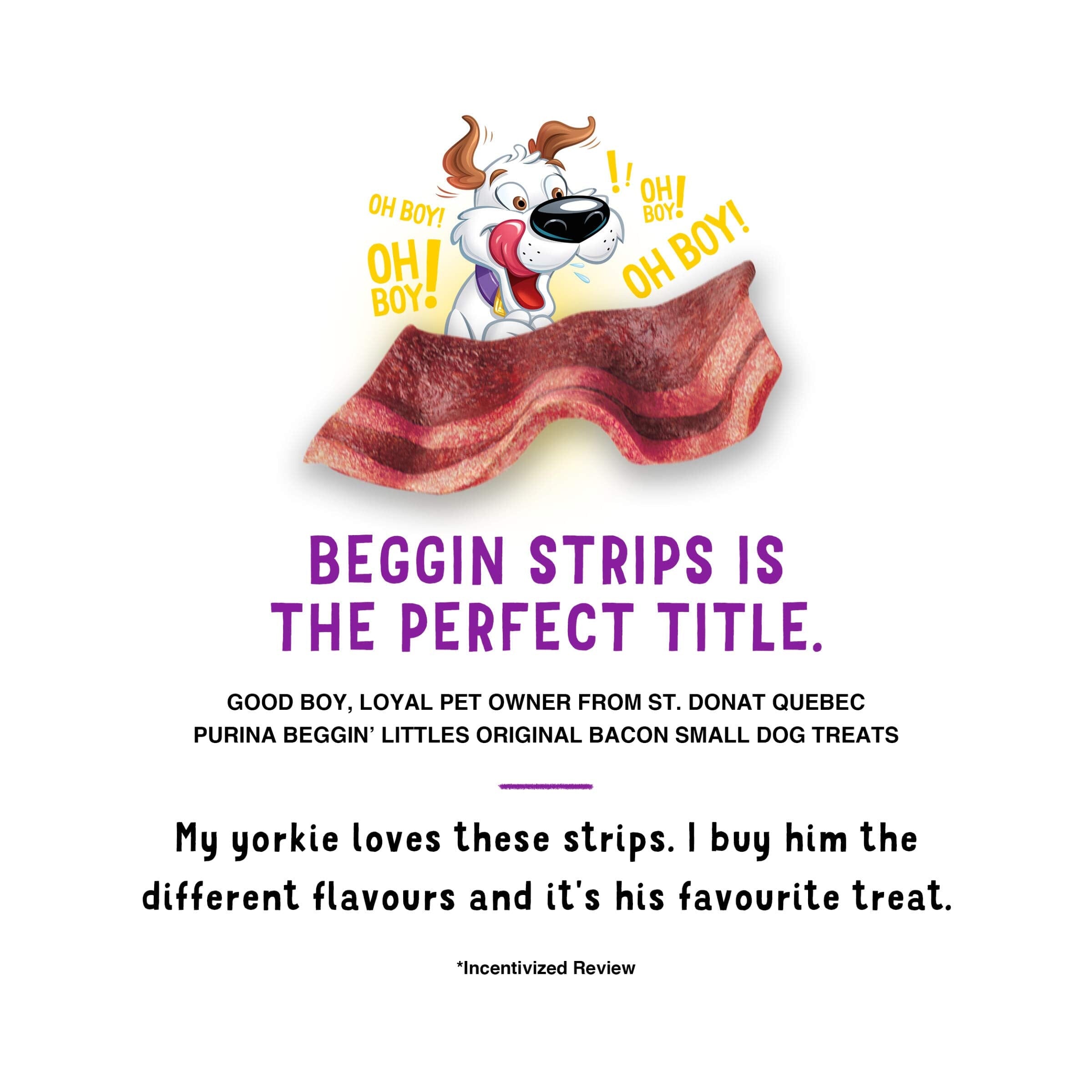 Purina Beggin' Strips Littles Bacon Flavored Small-Breed Chewy Jerky Dog Treats - 25 Oz - 4 Pack
