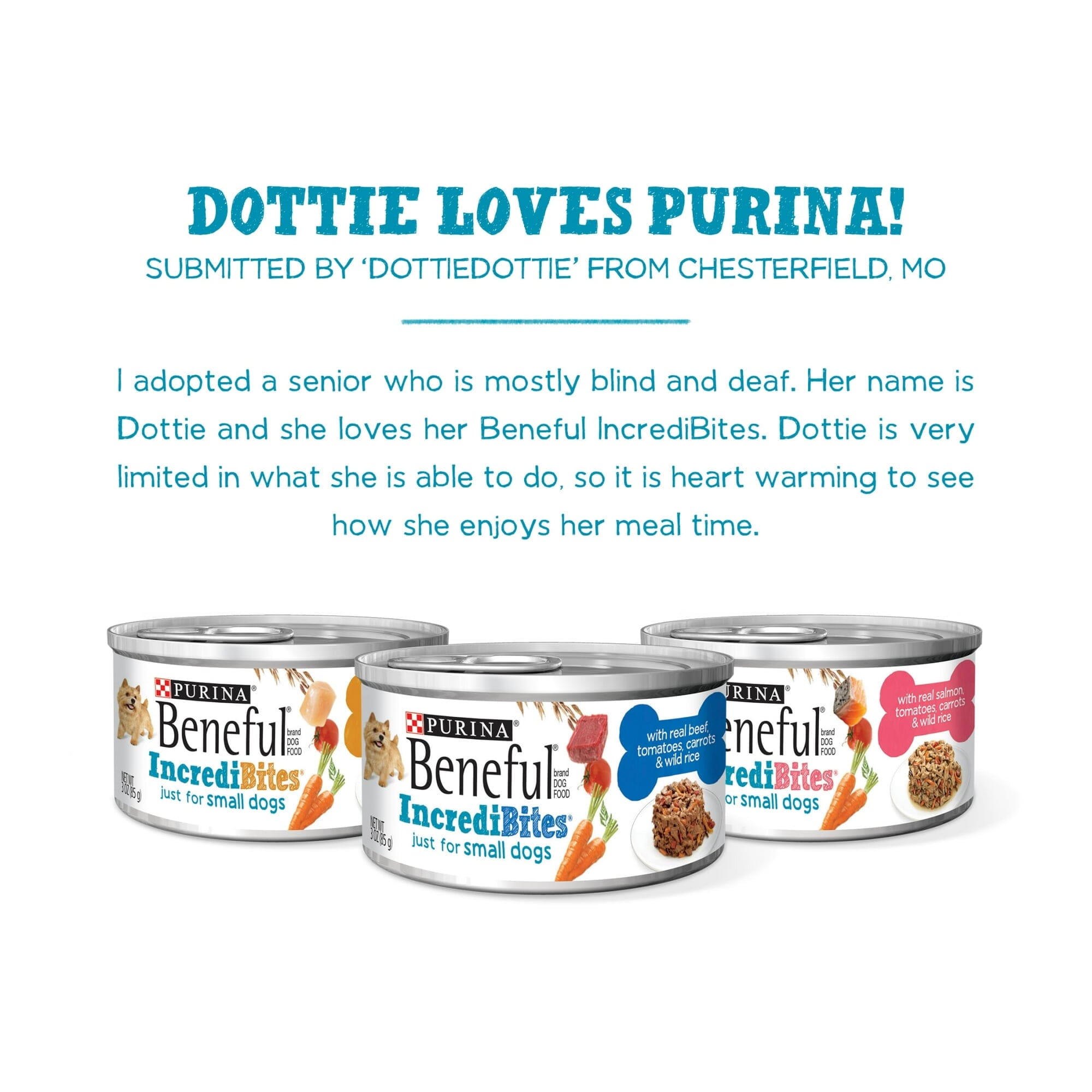 Purina Beneful Incredibites Chicken Salmon and Beef Pate Small-Breed Canned Dog Food - Variety Pack - 3 Oz - Case of 12 - 2 Pack