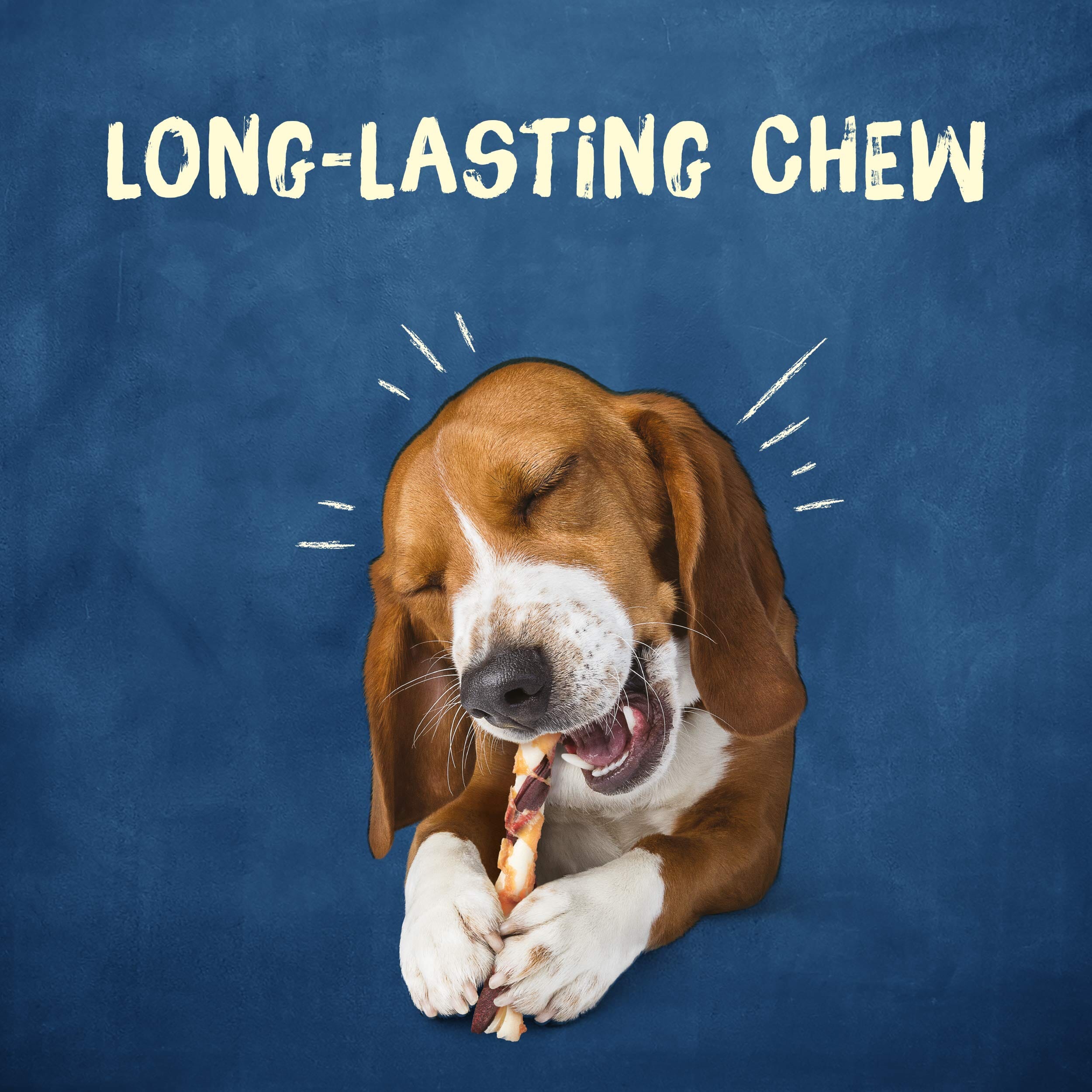 Purina Busy Bone Jerky Twists with Beefhide and Chicken Jerky Dog Treats - 6.52 Oz - Case of 5