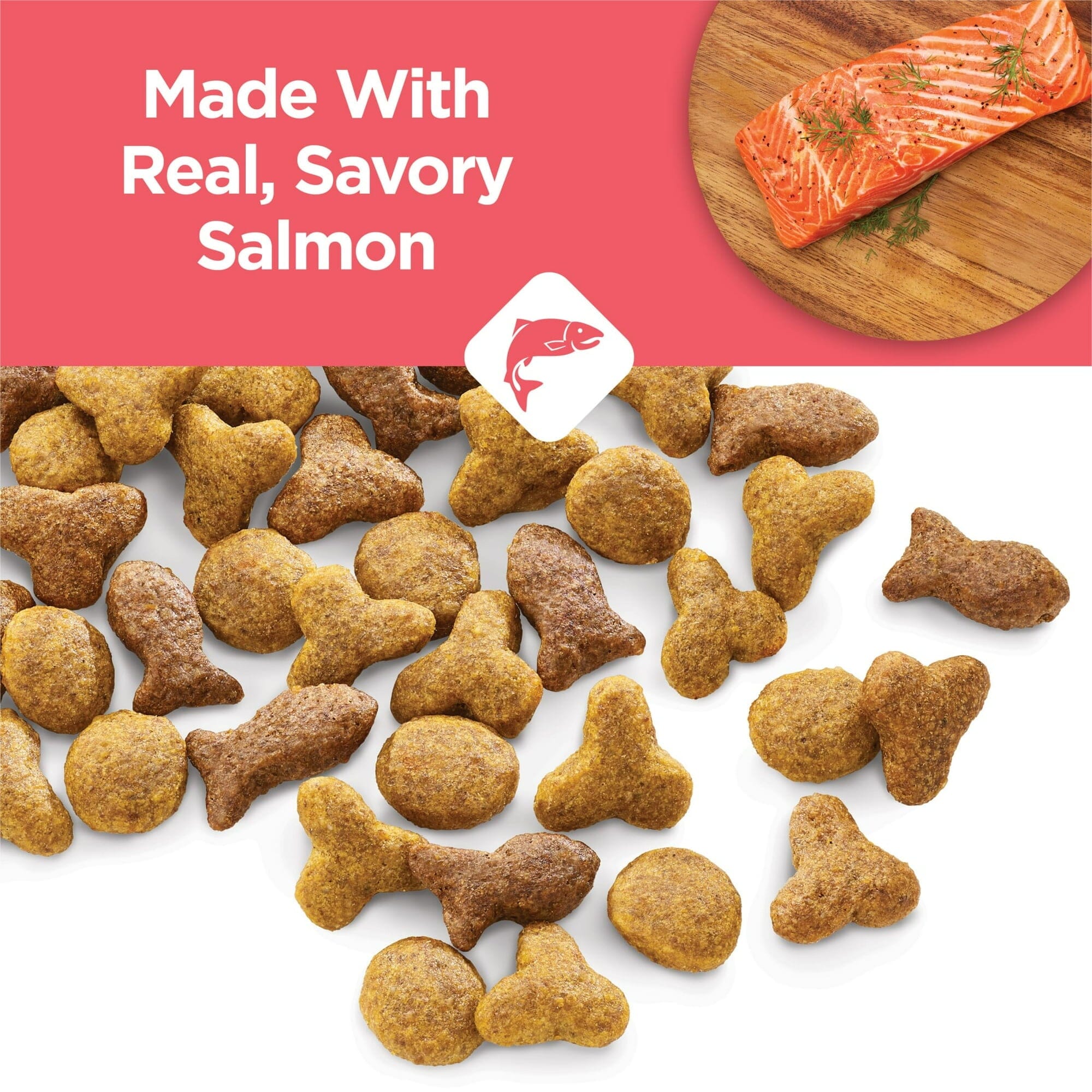 Purina Cat Chow Complete Salmon Dry Cat Food - 3.15 Lbs - Case of 4