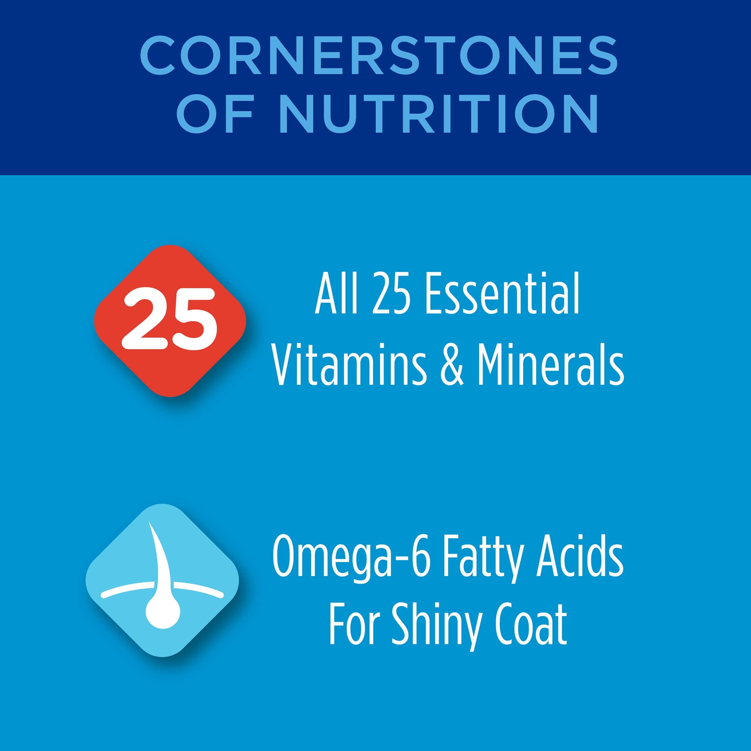 Purina Cat Chow Complete with Chicken Adult Dry Cat Food - 6.3 Lbs - Case of 4