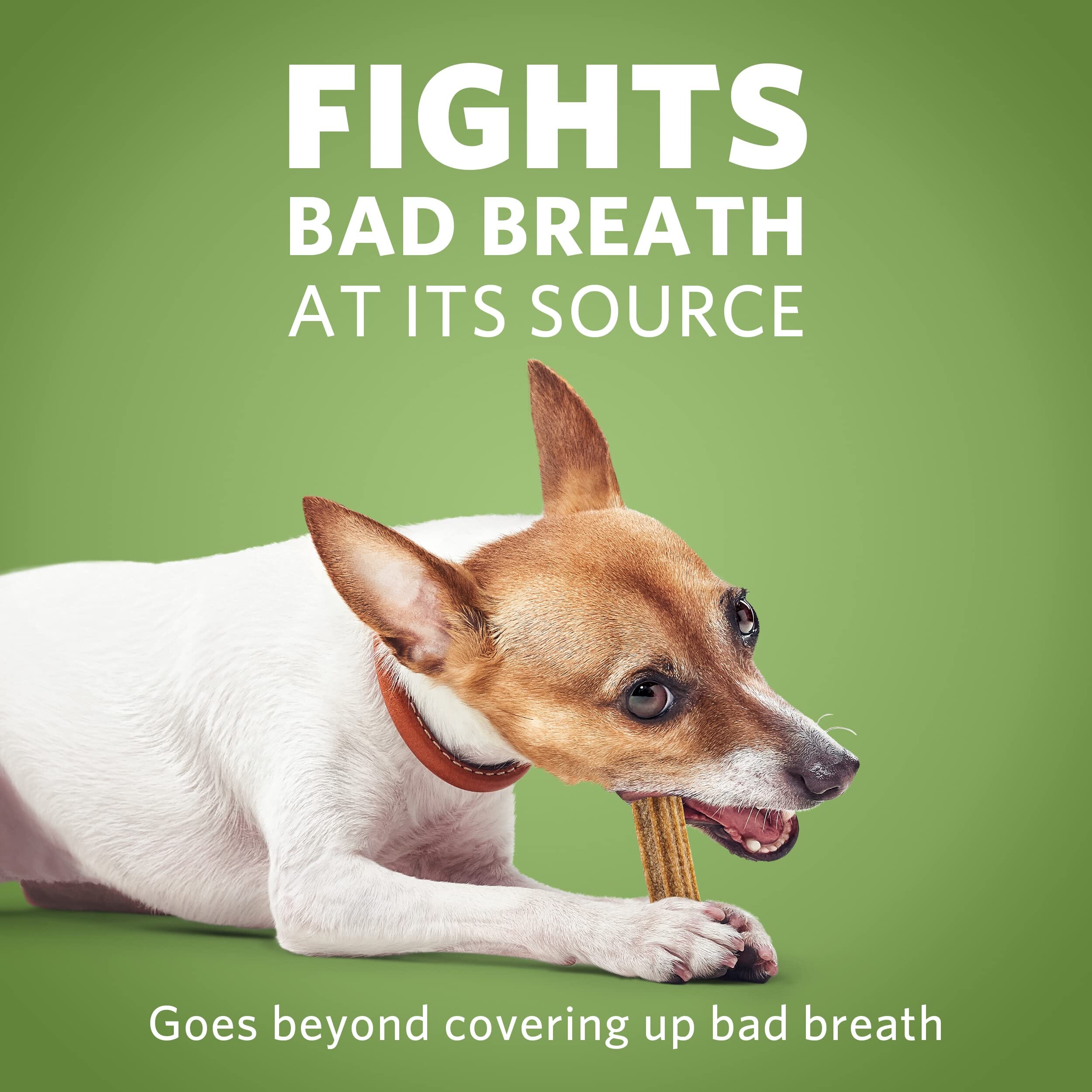 Purina DentaLife ActivFresh Dental Dog Chews - Mini - 16.9 Oz - 4 Pack