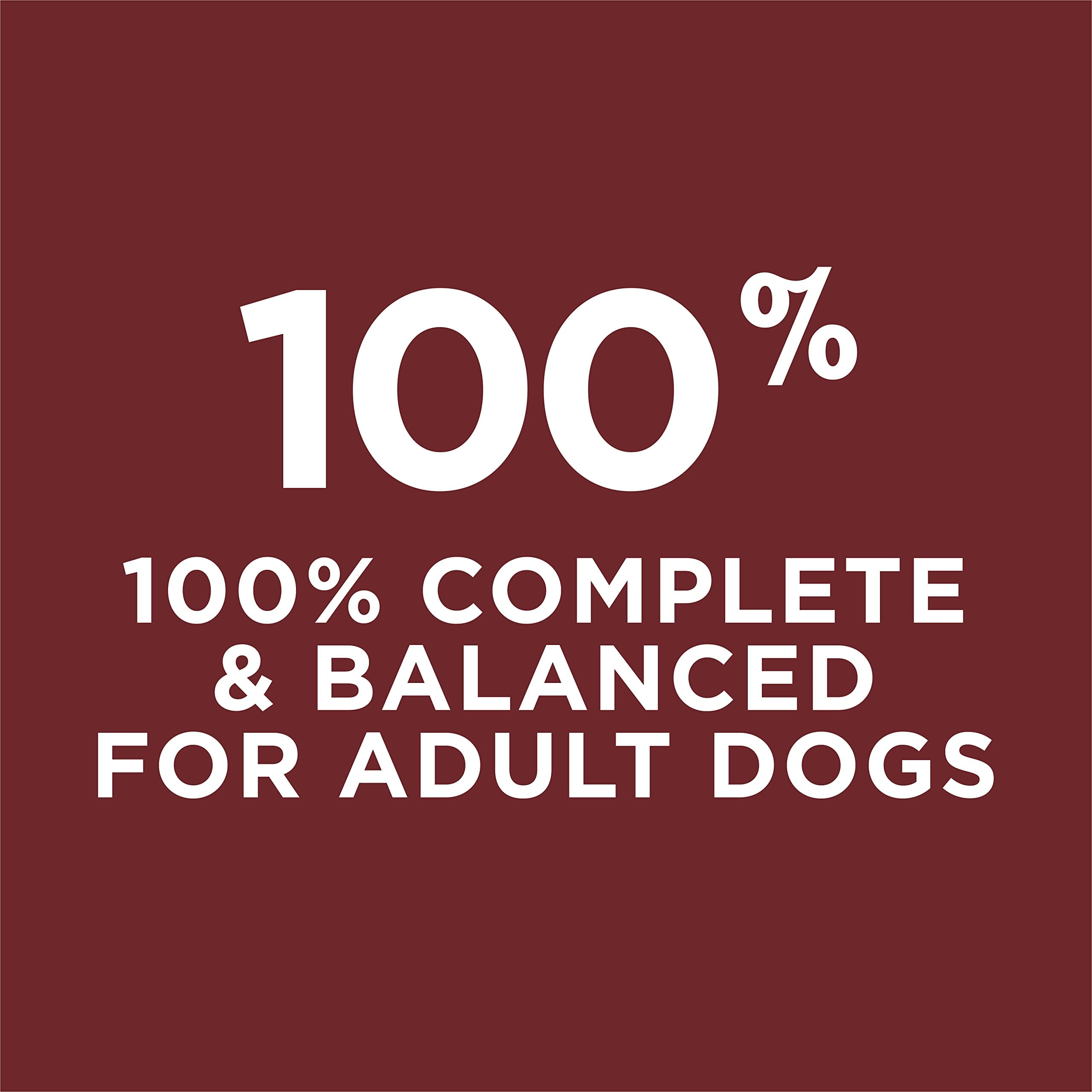 Purina Dog Chow Complete and Balanced Real Beef Adult Dry Dog Food - 44 Lbs