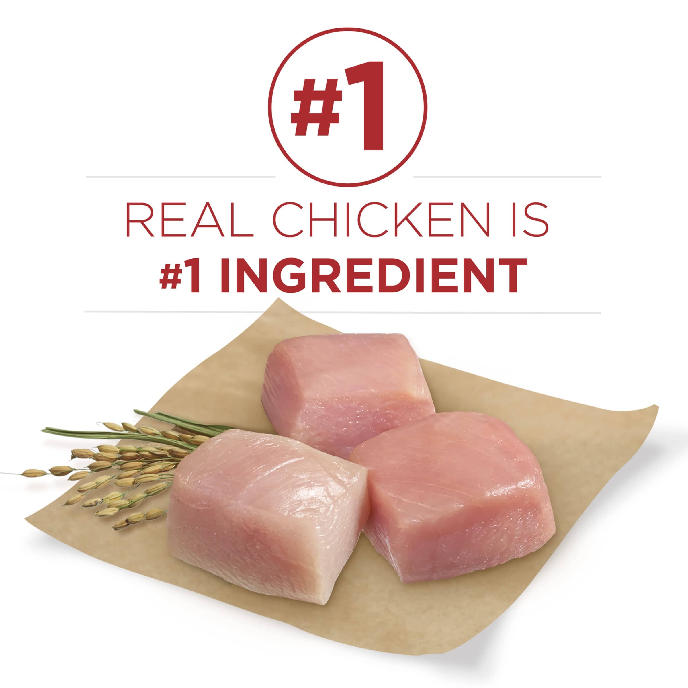 Purina Dog Chow Complete and Balanced Real Chicken Adult Dry Dog Food - 40 Lbs