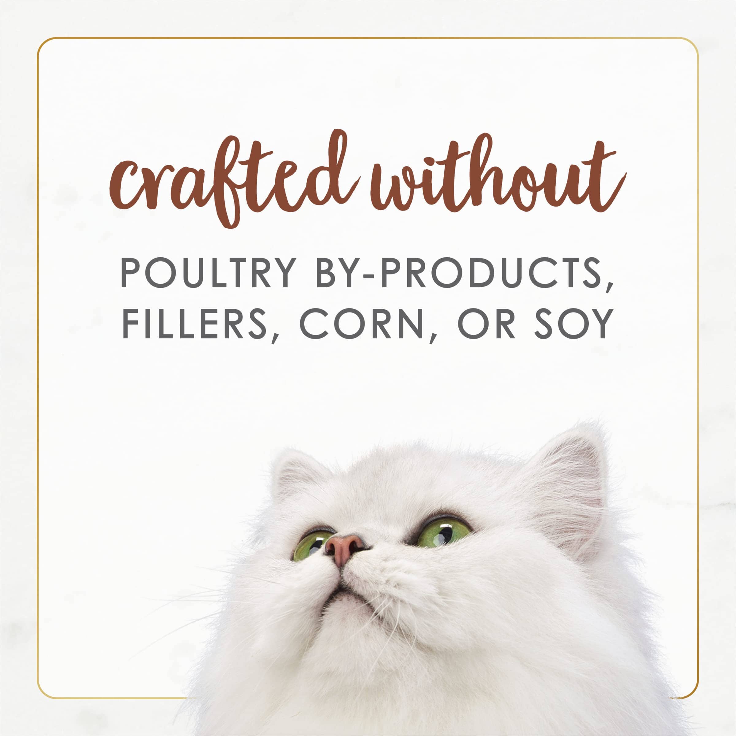 Purina Fancy Feast Gourmet Naturals Chicken Beef in Gravy Canned Cat Food - 3 Oz - Case of 12