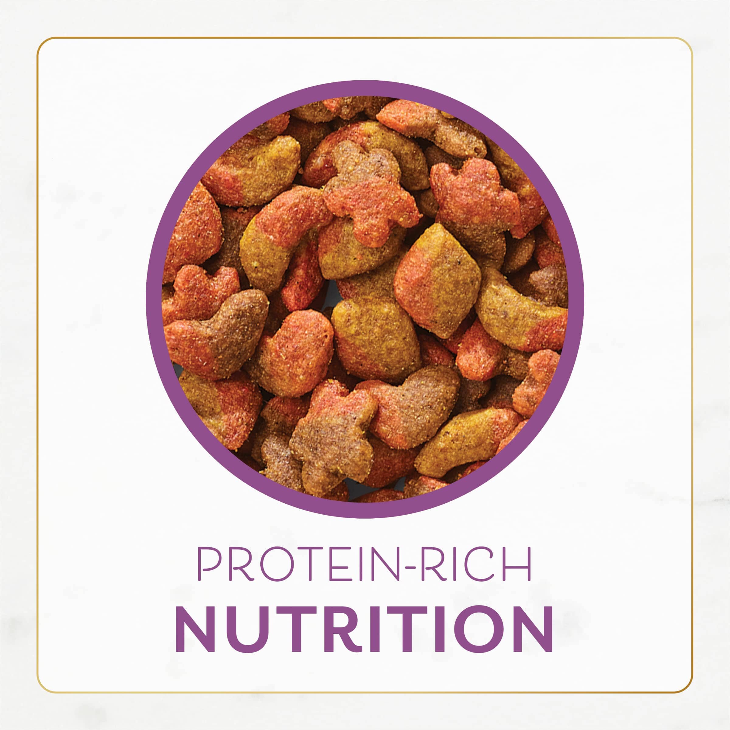 Purina Fancy Feast Savory Chicken and Turkey Dry Cat Food - 7 Lbs - Case of 4