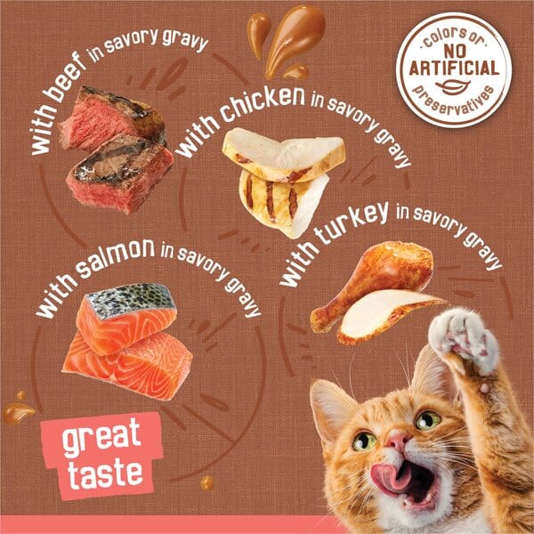 Purina Friskies Extra Gravy Chicken Turkey Salmon and Beef Chunky Canned Cat Food - Variety Pack - 5.5 Oz - 24 Count