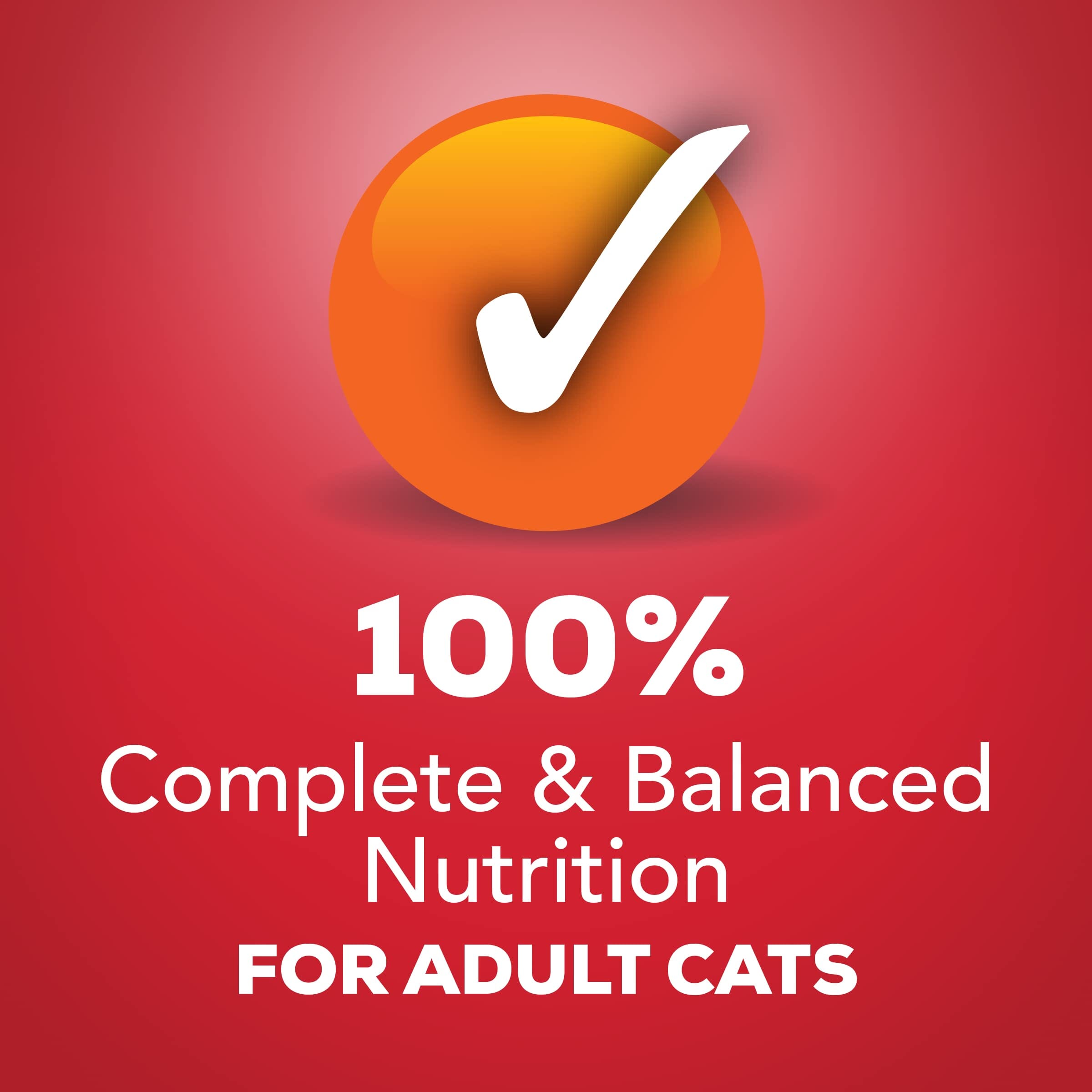 Purina Friskies Extra Gravy Chunky Beef Canned Cat Food - 5.5 Oz - Case of 24