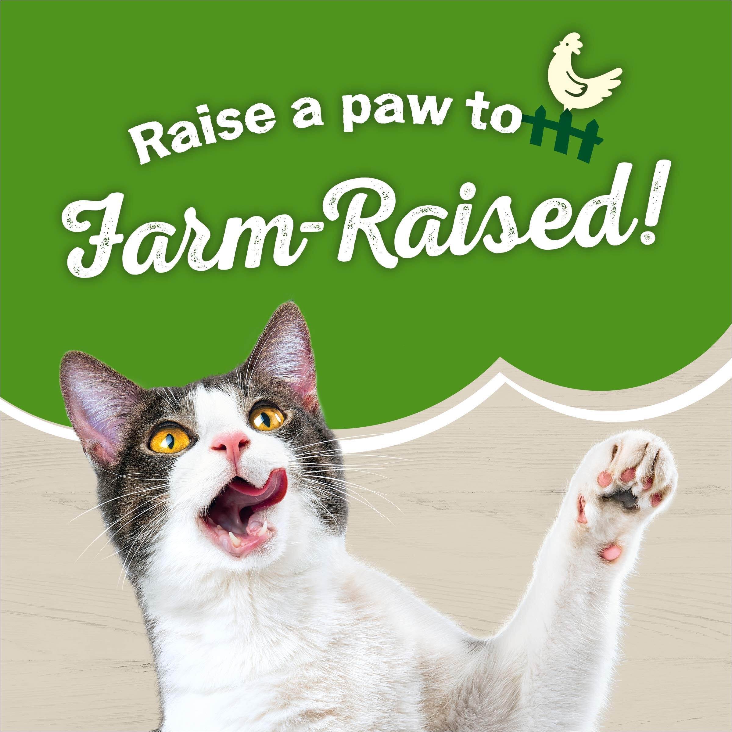 Purina Friskies Farm Favorites Chicken with Carrots Pate Canned Cat Food - 5.5 Oz - Case of 24