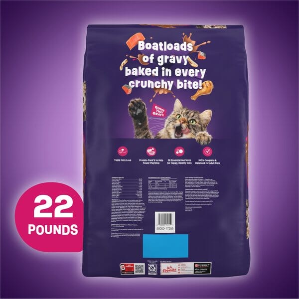 Purina Friskies Gravy Swirlers with Chicken Salmon and Dried Gravy Adult Dry Cat Food - 22 Lbs
