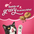 Purina Friskies Gravy Swirlers with Chicken Salmon and Dried Gravy Adult Dry Cat Food - 22 Lbs