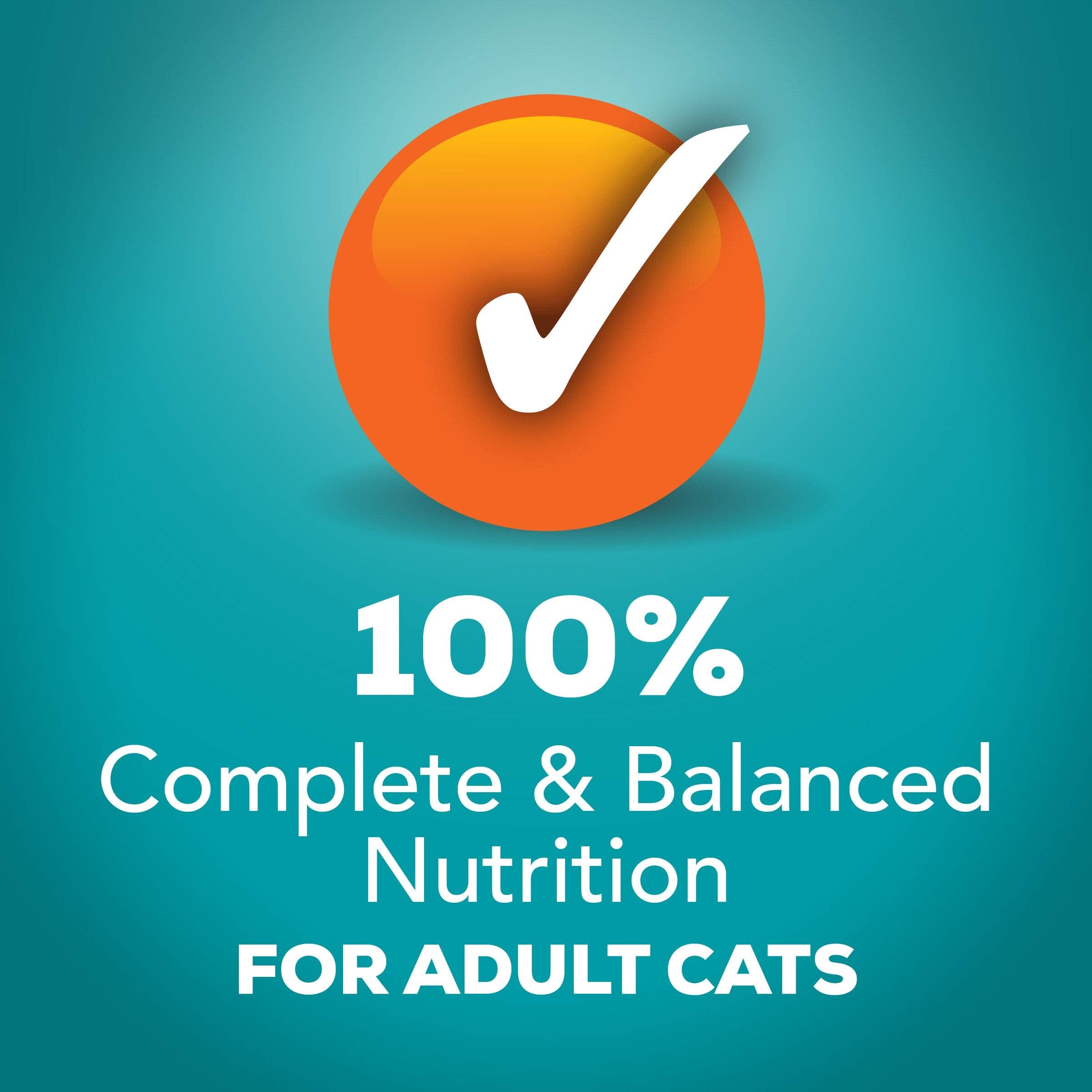 Purina Friskies Indoor Chicken Turkey Seafood in Sauce and Gravy Canned Cat Food - Variety Pack - 5.5 Oz - 24 Count