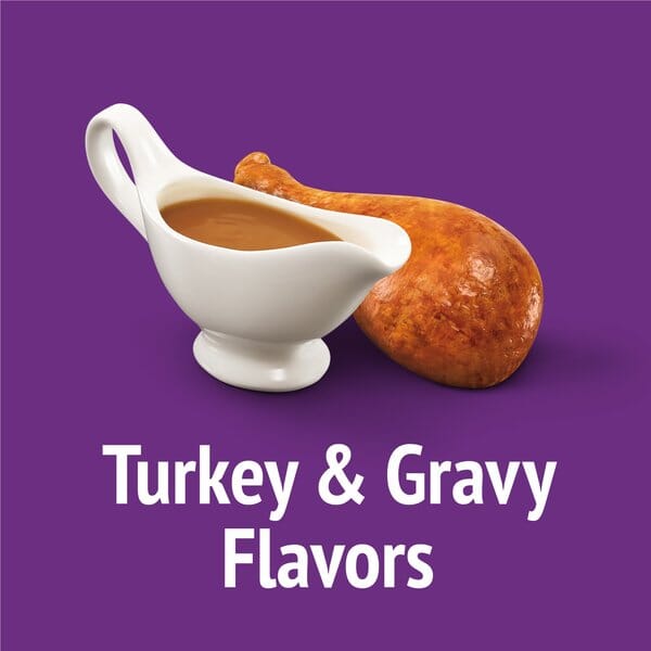 Purina Friskies Party Mix Gravy-licious Crunch Turkey and Gravy Crunchy Cat Treats - 2.1 Oz - Case of 10