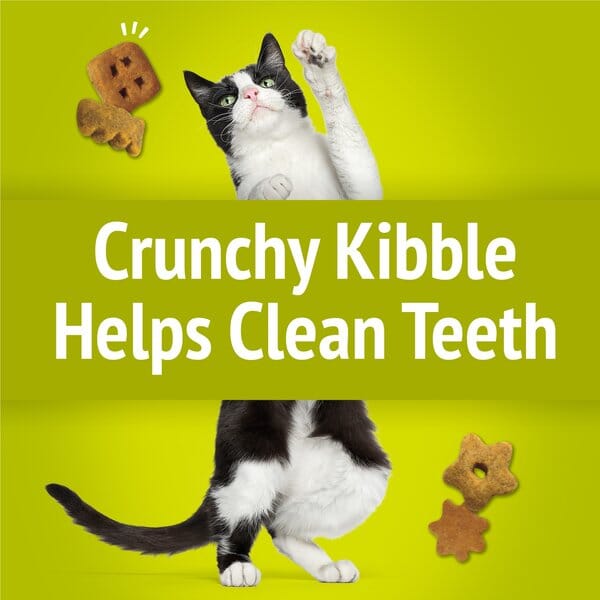 Purina Friskies Party Mix Morning Munch Eggs Bacon and Cheese Crunchy Cat Treats - 2.1 Oz - Case of 10