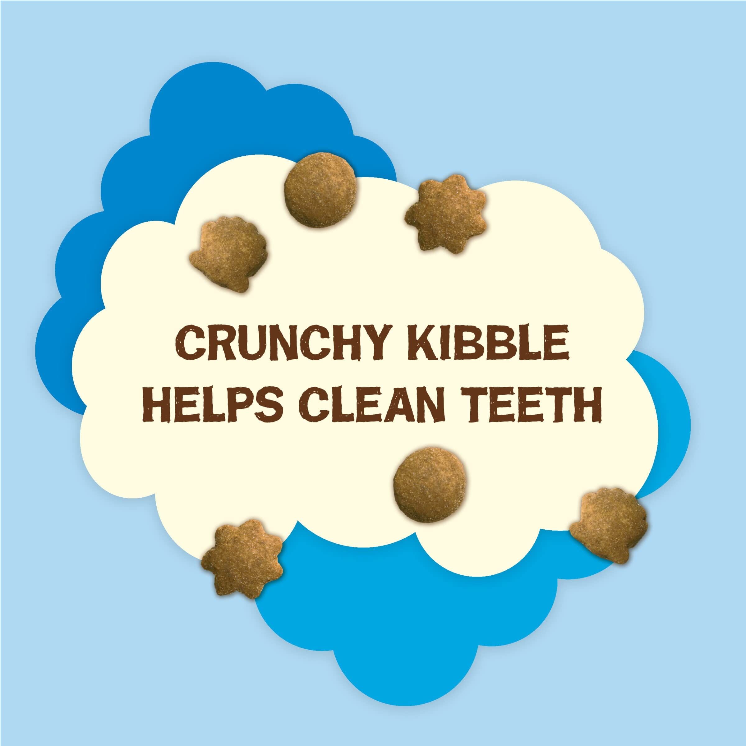 Purina Friskies Party Mix Natural Yums Canister Wild-Caught Tuna with Vitamins Crunchy Cat Treats - 20 Ounce - Case of 3