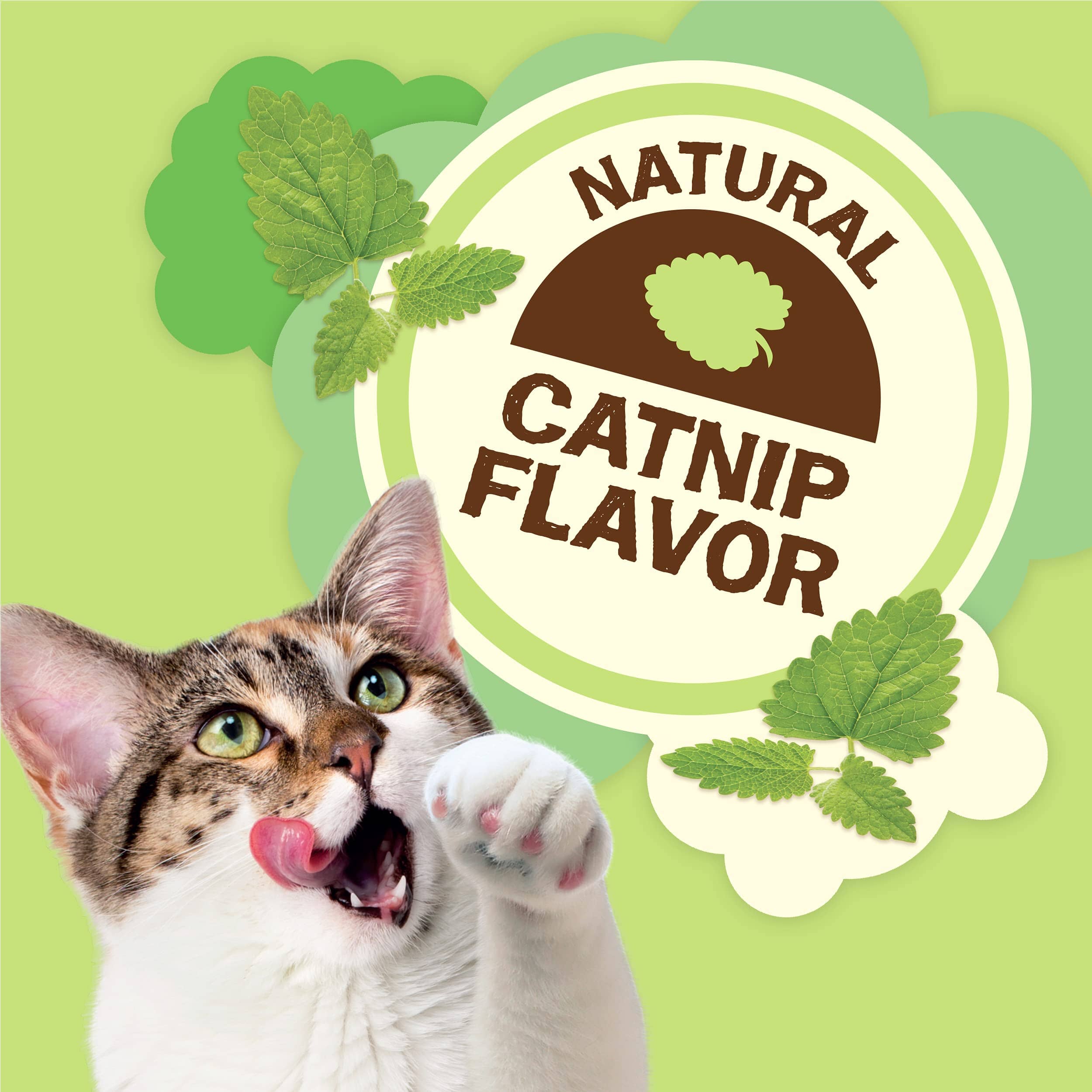 Purina Friskies Party Mix Natural Yums Chicken with Catnip Flavor Crunchy Cat Treats - 2.1 Oz - Case of 10