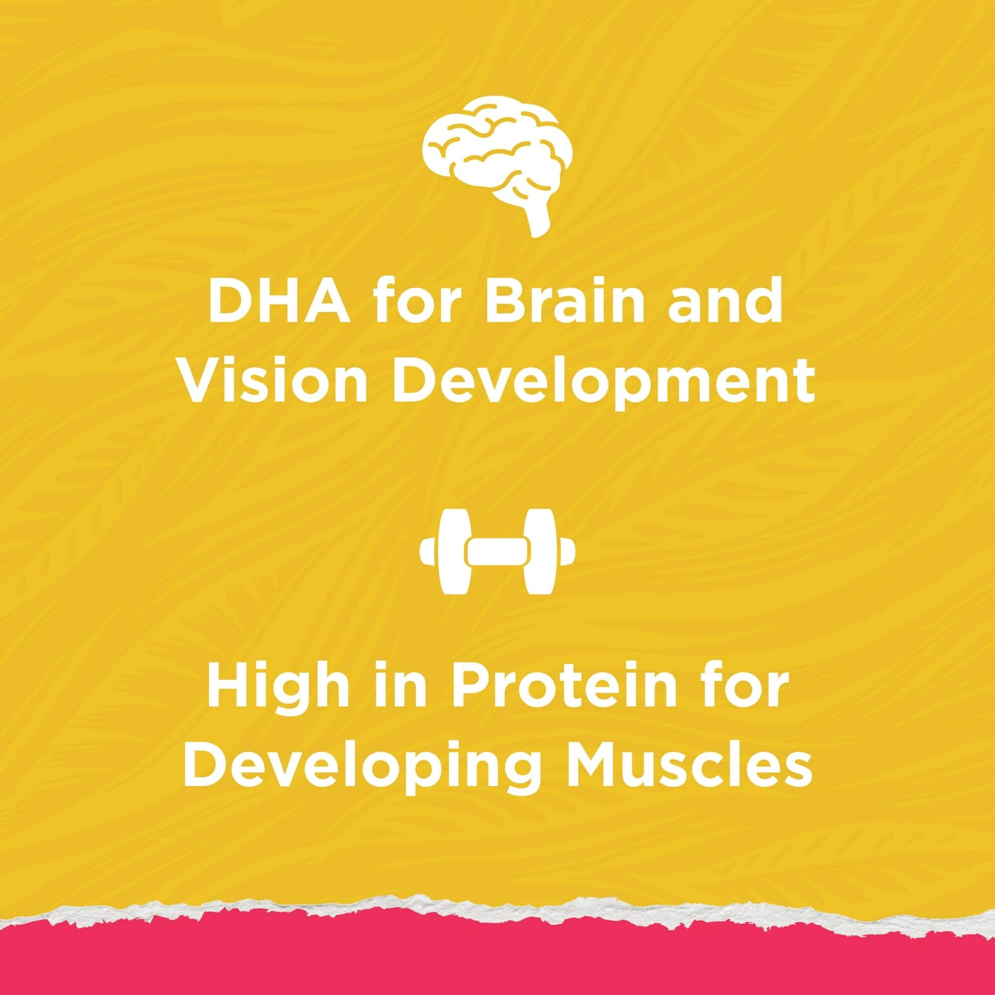 Purina Kitten Chow Naturals High-Protein Chicken with Vitamins and Minerals Dry Cat Food - 13 Lbs