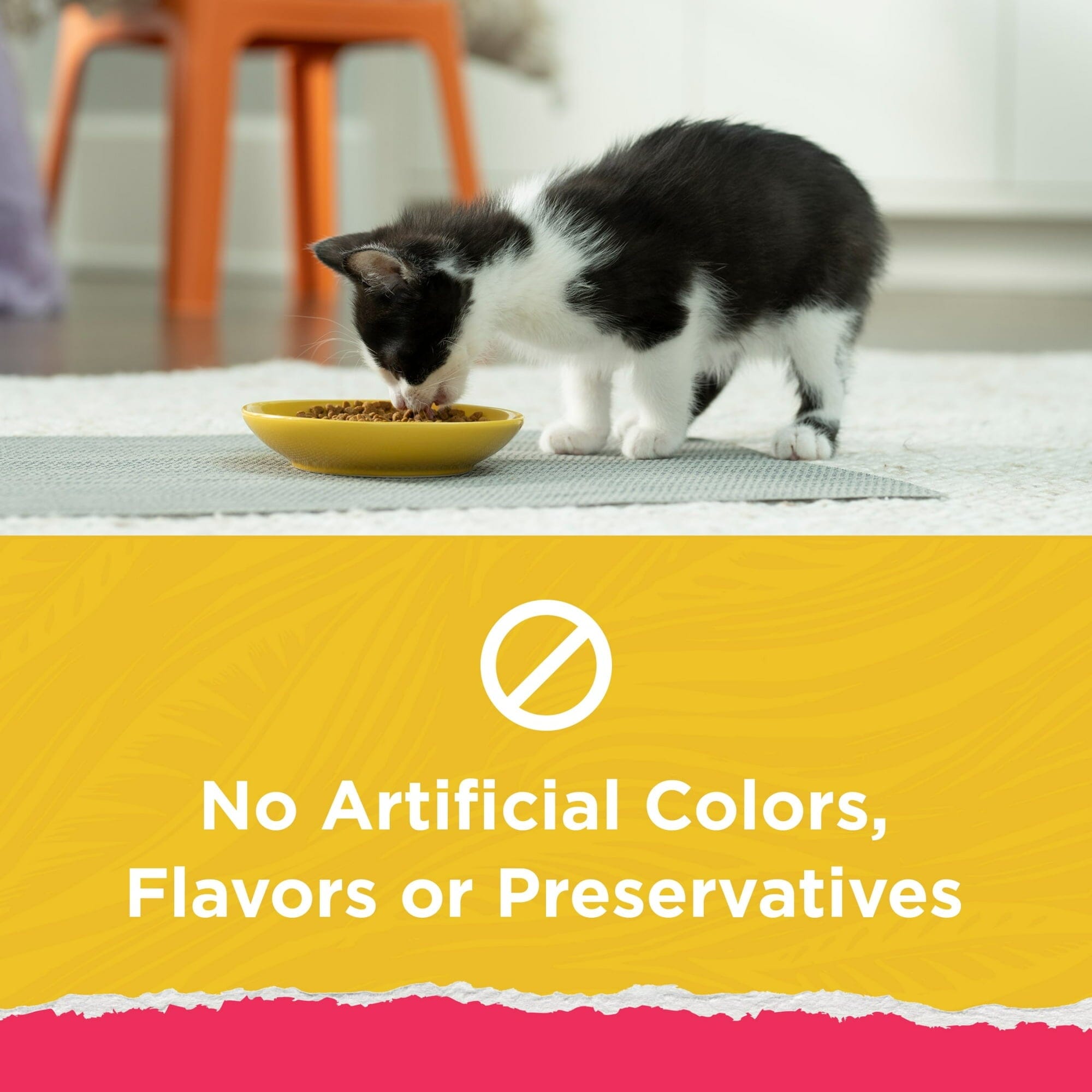 Purina Kitten Chow Naturals High-Protein Chicken with Vitamins and Minerals Dry Cat Food - 13 Lbs