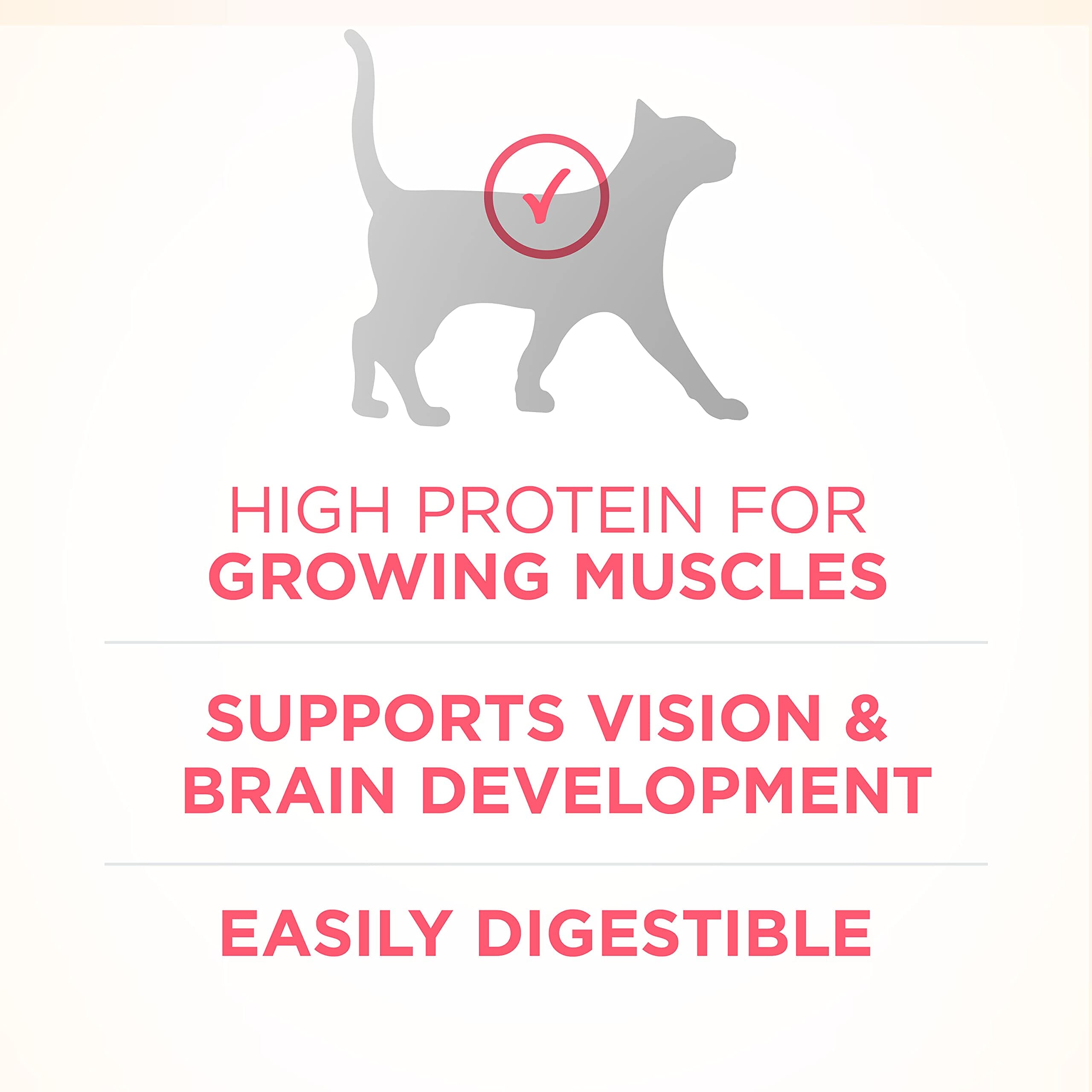 Purina One + Plus Healthy Kitten Formula High-Protein and Immune Support Chicken Dry Cat Food - 3.5 Lbs - Case of 4