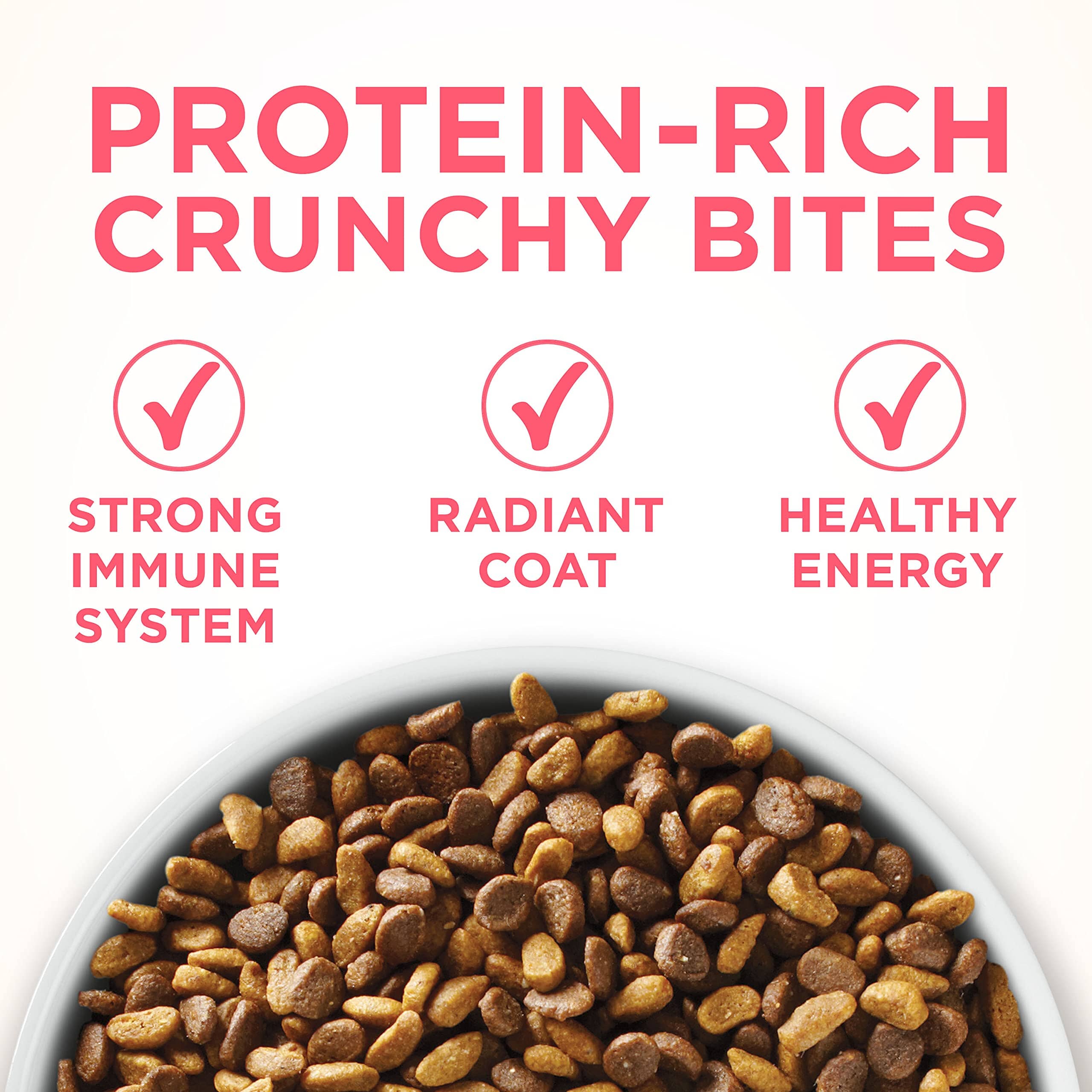 Purina One + Plus Healthy Kitten Formula High-Protein and Immune Support Chicken Dry Cat Food - 3.5 Lbs - Case of 4