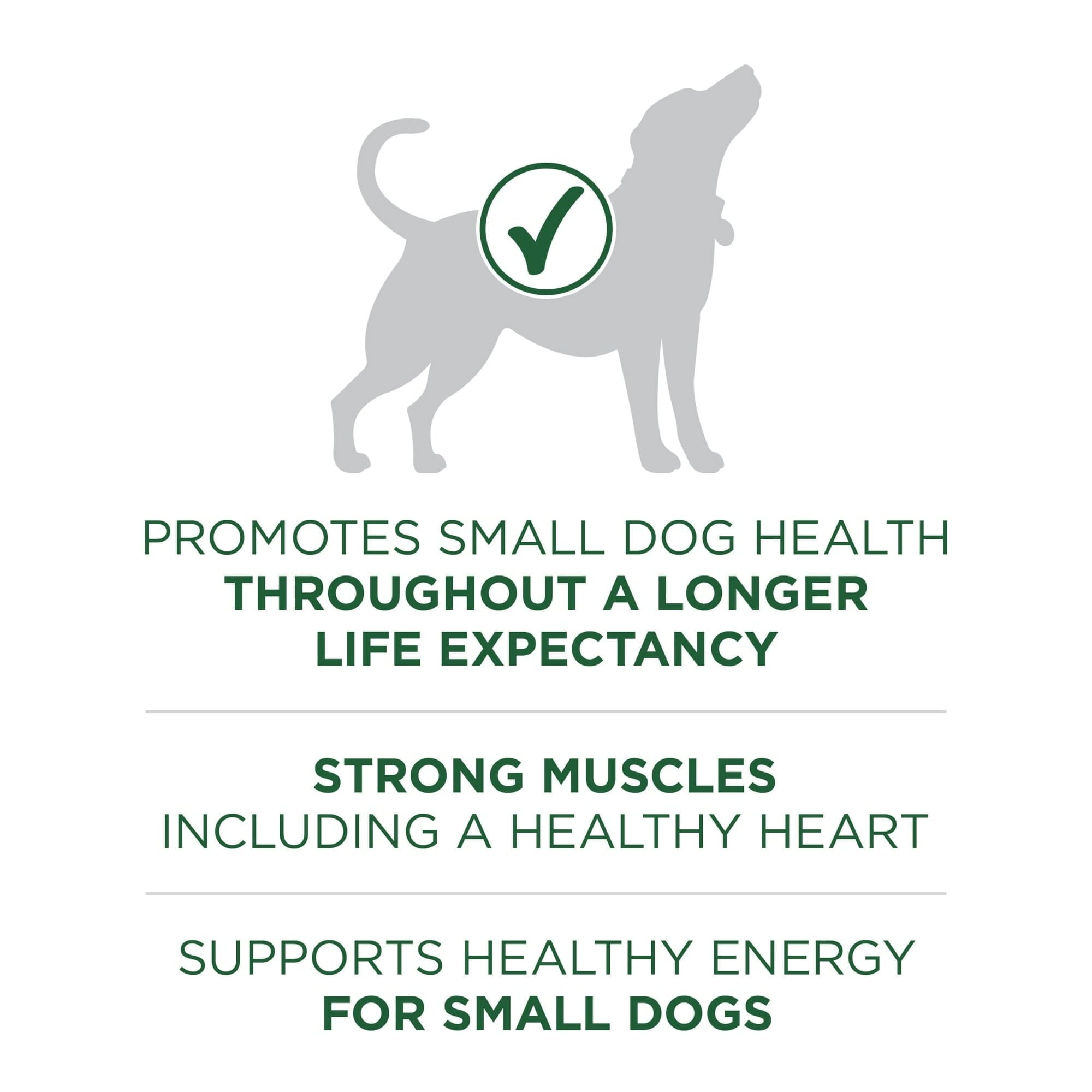 Purina One + Plus SmartBlend Heart Muscle and Energy Support Small-Breed Lamb and Rice Dry Dog Food - 7.4 Lbs - Case of 4