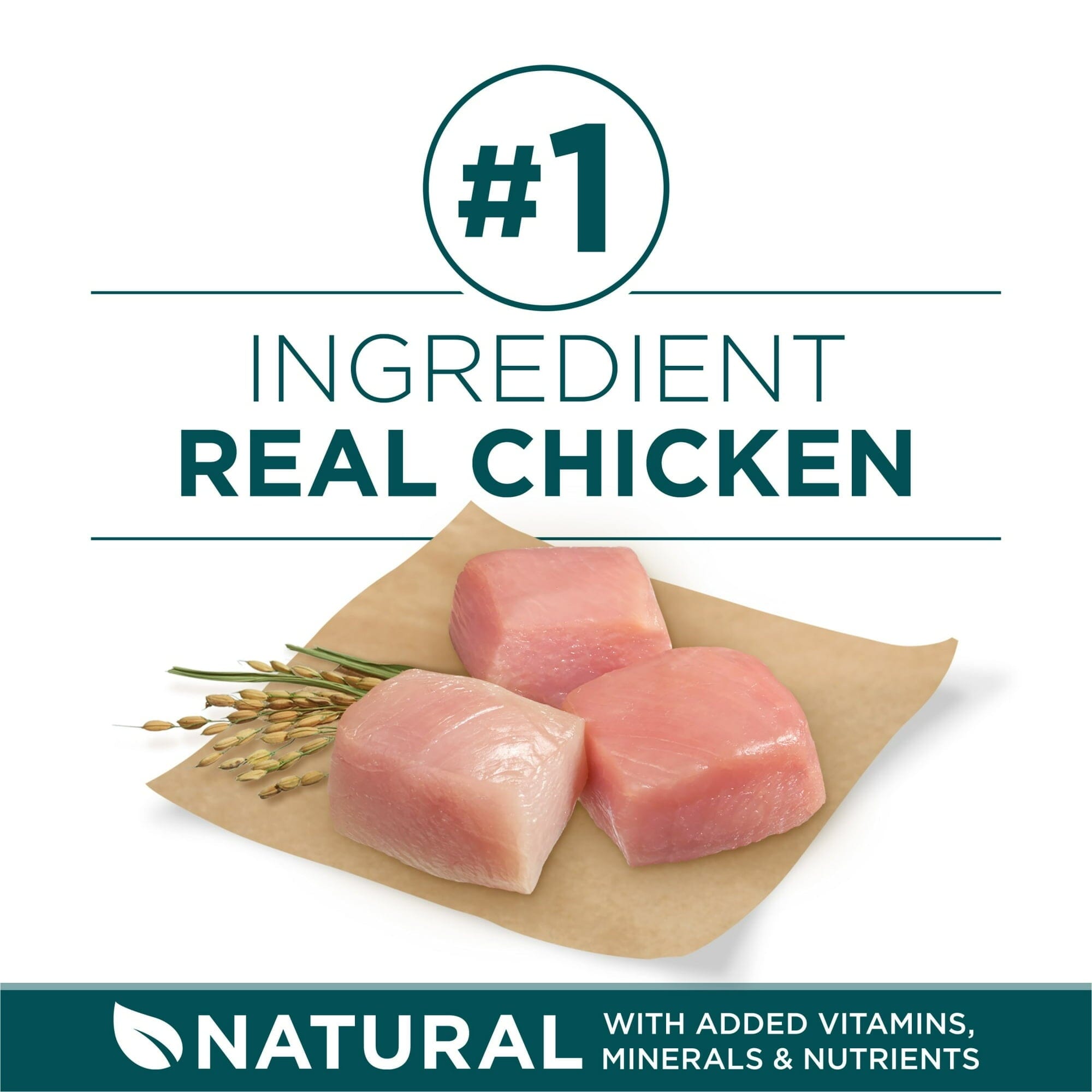 Purina One + Plus SmartBlend High-Protein Muscle and Heart Large-Breed Puppy Dry Dog Food - 16.5 Lbs