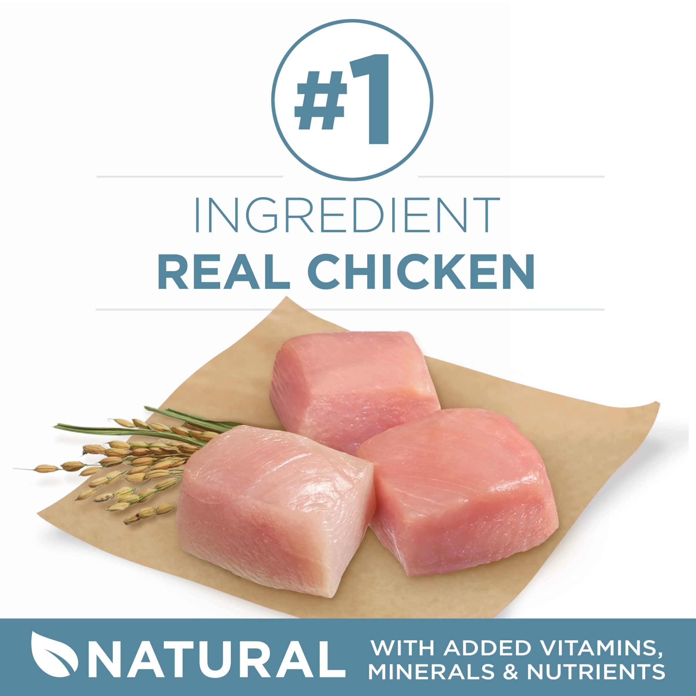 Purina One + Plus SmartBlend Joint and Muscle Health Chicken Dry Dog Food - 16.5 Lbs