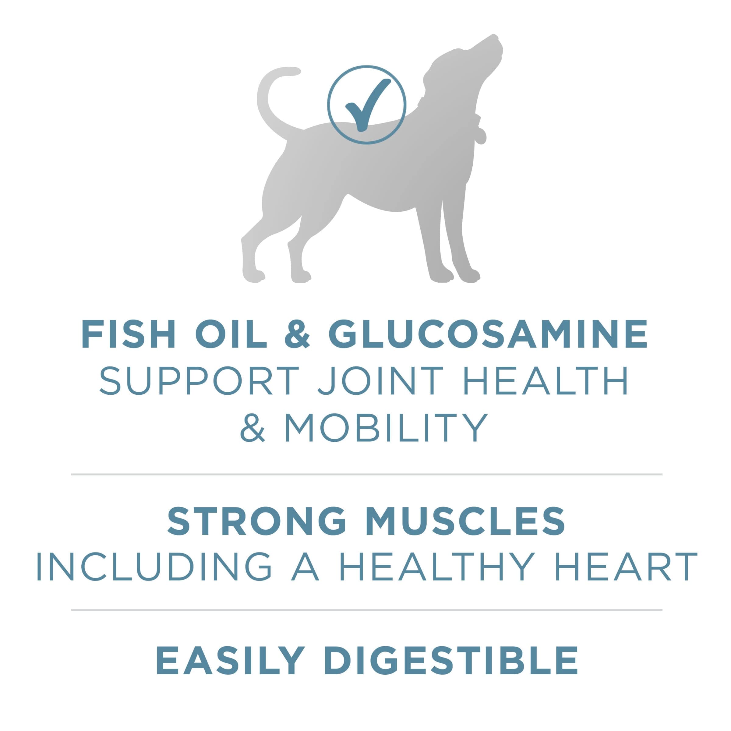 Purina One + Plus SmartBlend Joint and Muscle Health Chicken Dry Dog Food - 31.1 Lbs